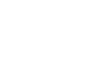 One with Wild logo